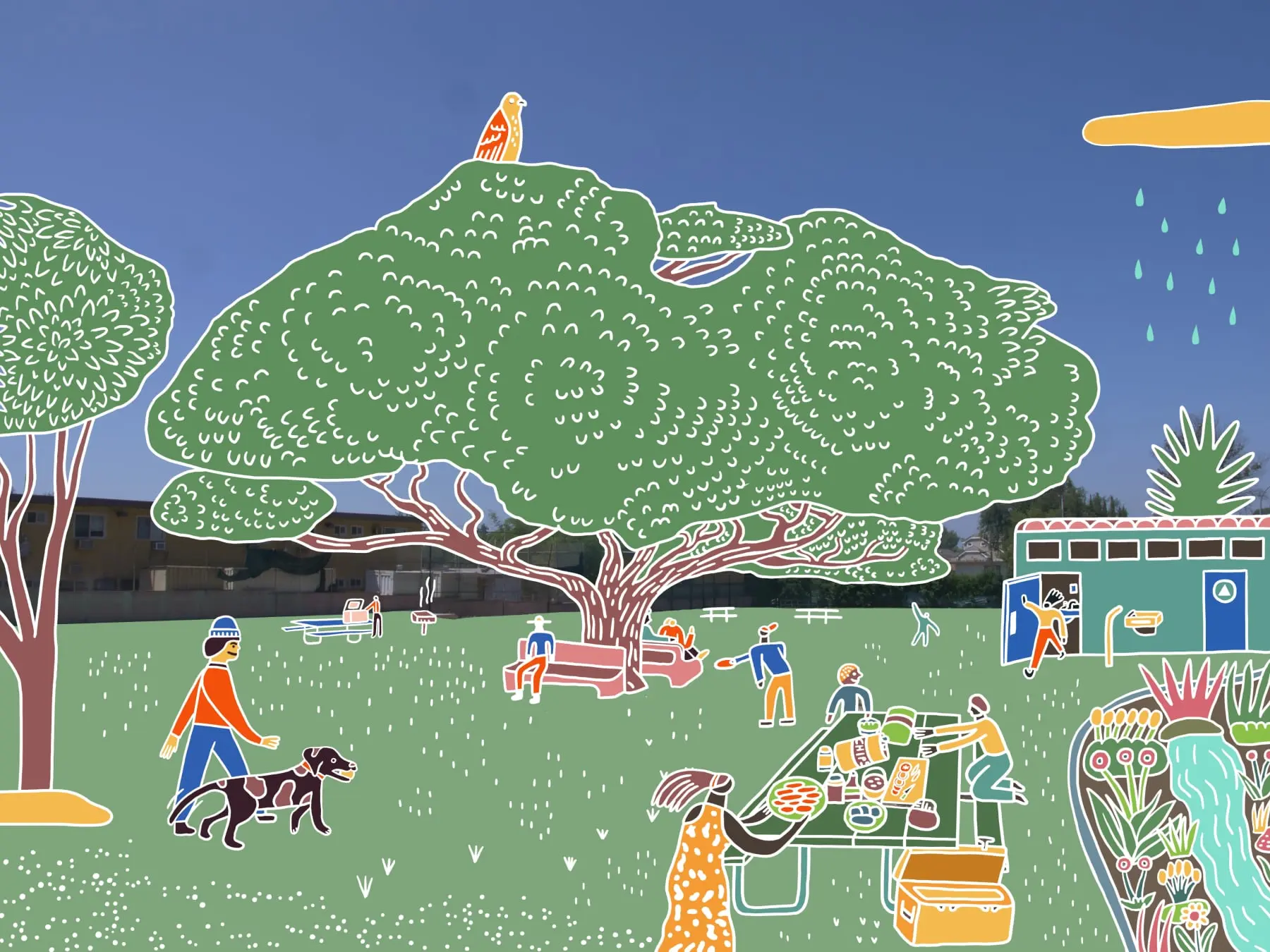 A large, grass field overlaid with colorful illustrations of shade trees, benches, public restrooms, and stormwater infrastructure.