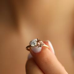 Nangi fine jewelry - brown ring in yellow gold