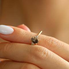 Nangi fine jewelry - brown ring in yellow gold