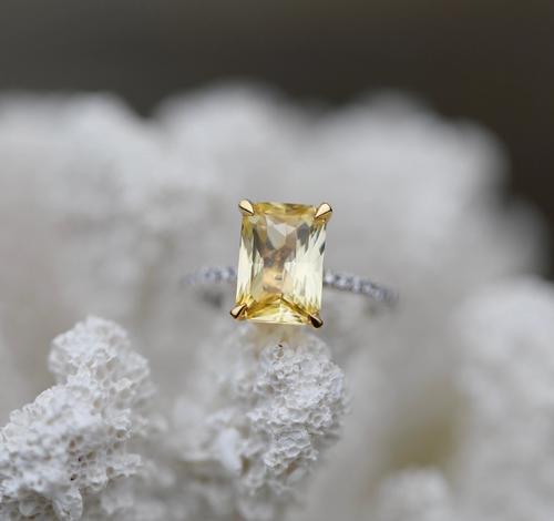 Nangi fine jewelry - yellow sapphire ring in white gold