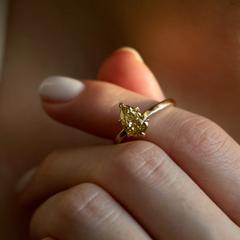 Nangi fine jewelry - champagne lab-grown diamond ring in yellow gold