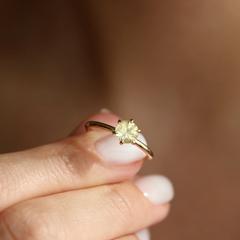 Nangi fine jewelry - yellow ring in yellow gold