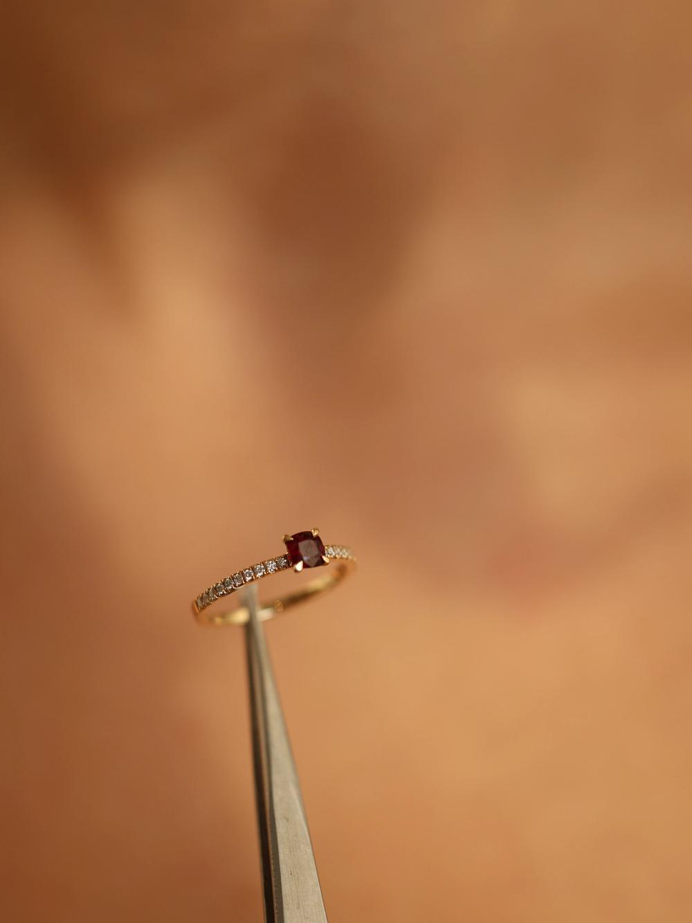 Cushion Ruby Flamingo