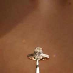 Nangi fine jewelry - ring in yellow gold