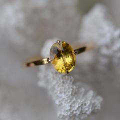 Nangi fine jewelry - yellow sapphire ring in yellow gold
