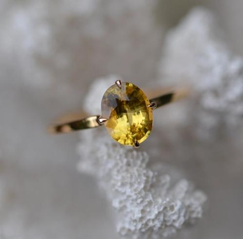 Nangi fine jewelry - yellow sapphire ring in yellow gold