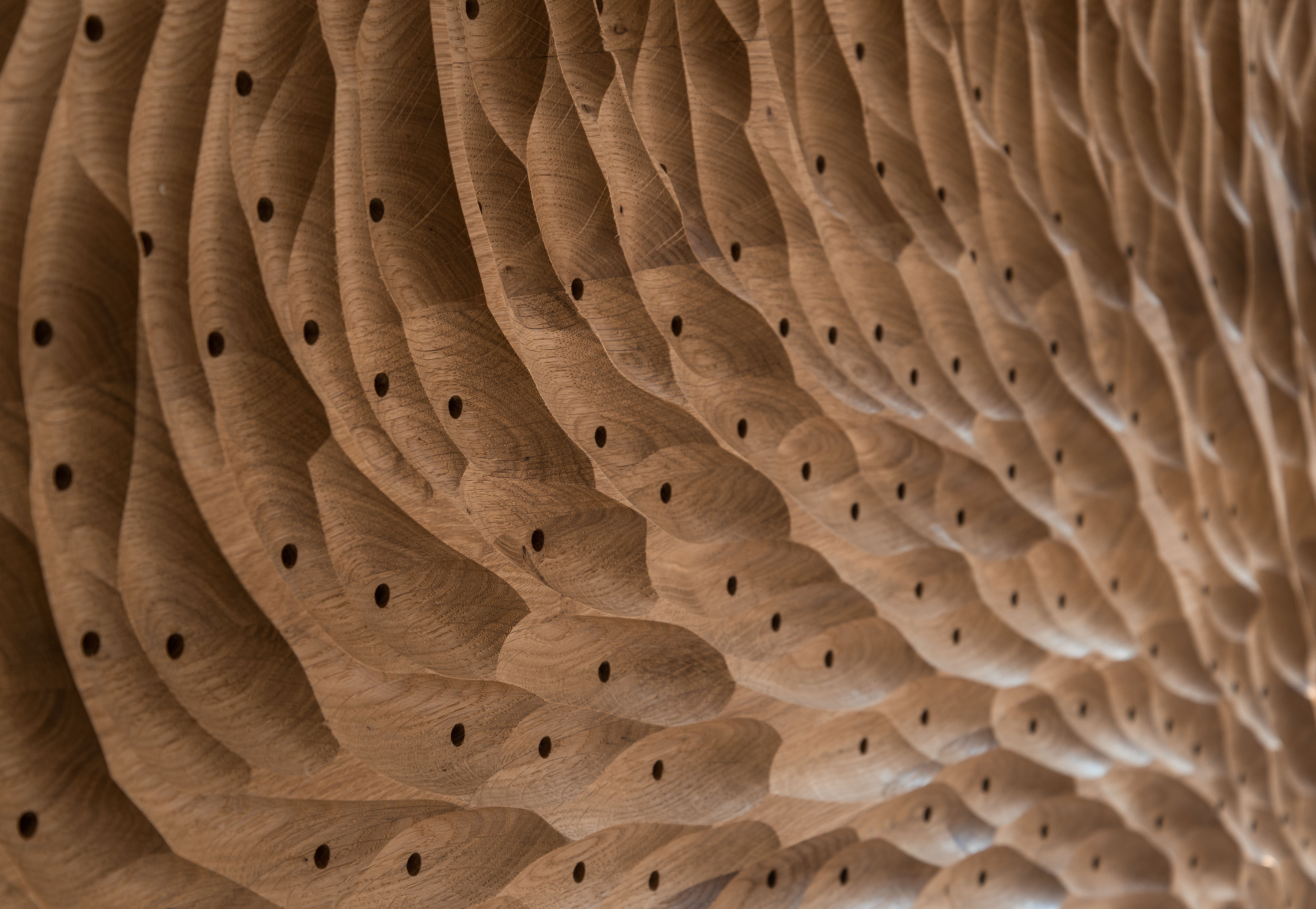 Formfeld 1, CloseUp, Acoustic Wall Panel, 173 x 120 cm, Natural Oak, Unperforated