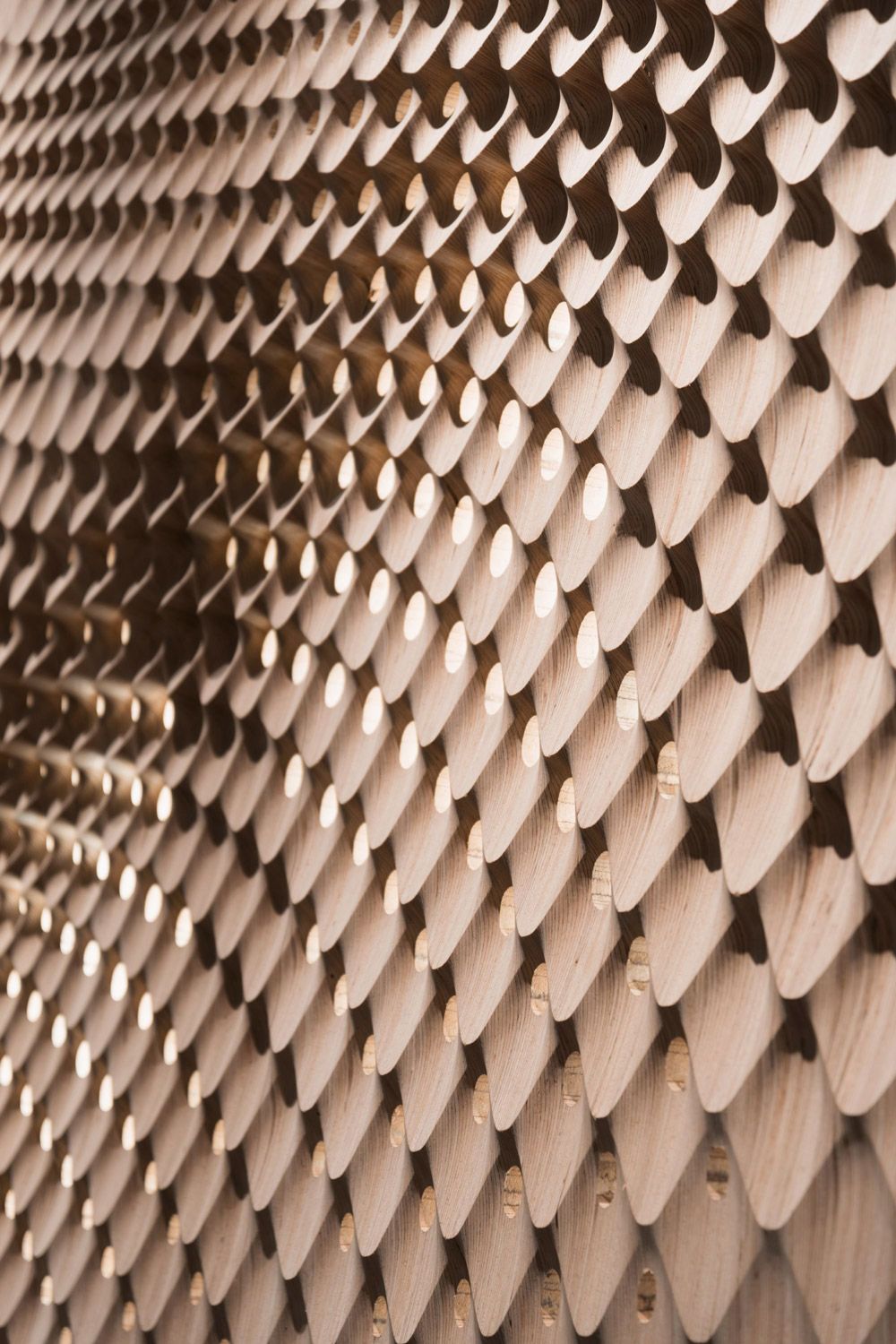 Wände in Bewegung Titelbild