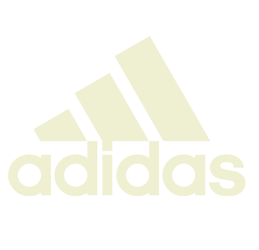 Adidas Terrex Icon