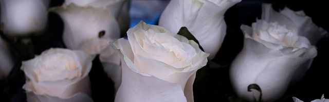 Funeral Flowers flower arrangements