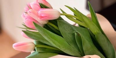 Bloom & Wild flowers