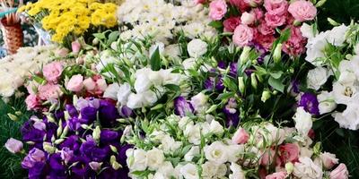 Professional flower testing methodology showing real order evaluation