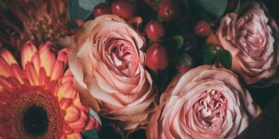 Blume2000 flowers