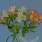 Interflora flower arrangement