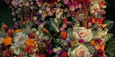 Wild at Heart flowers