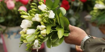 Flying Flowers flowers