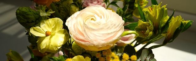 Thank You Flowers flower arrangements