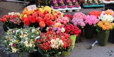 Next Flowers flowers