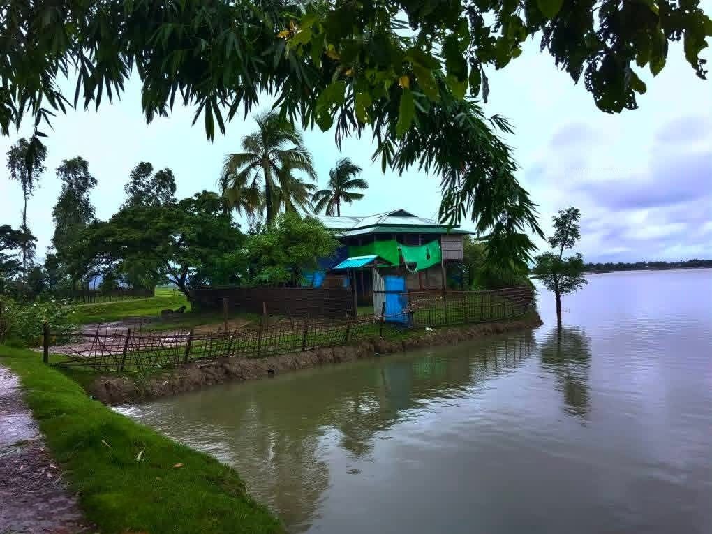 Investigation report image