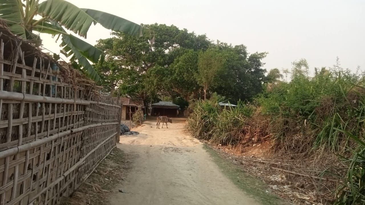 Investigation report image