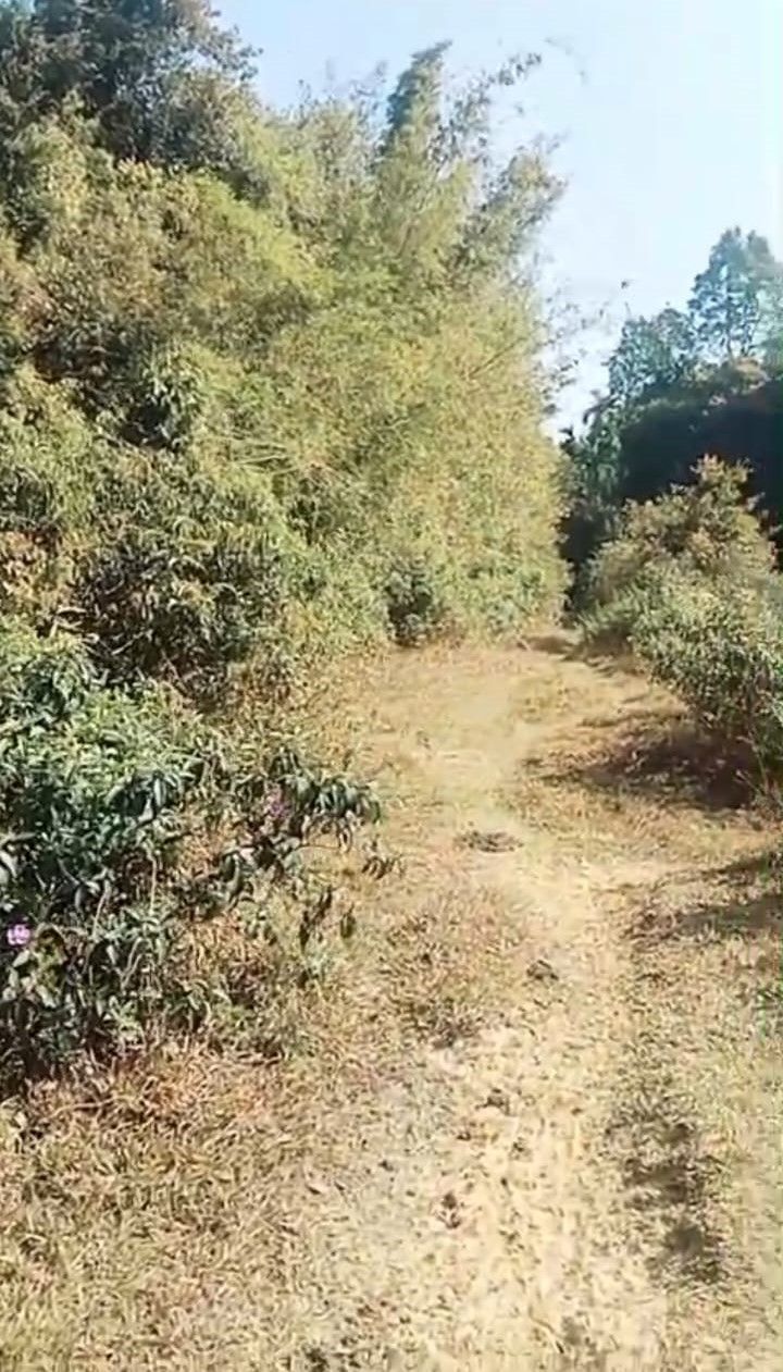 Investigation report image