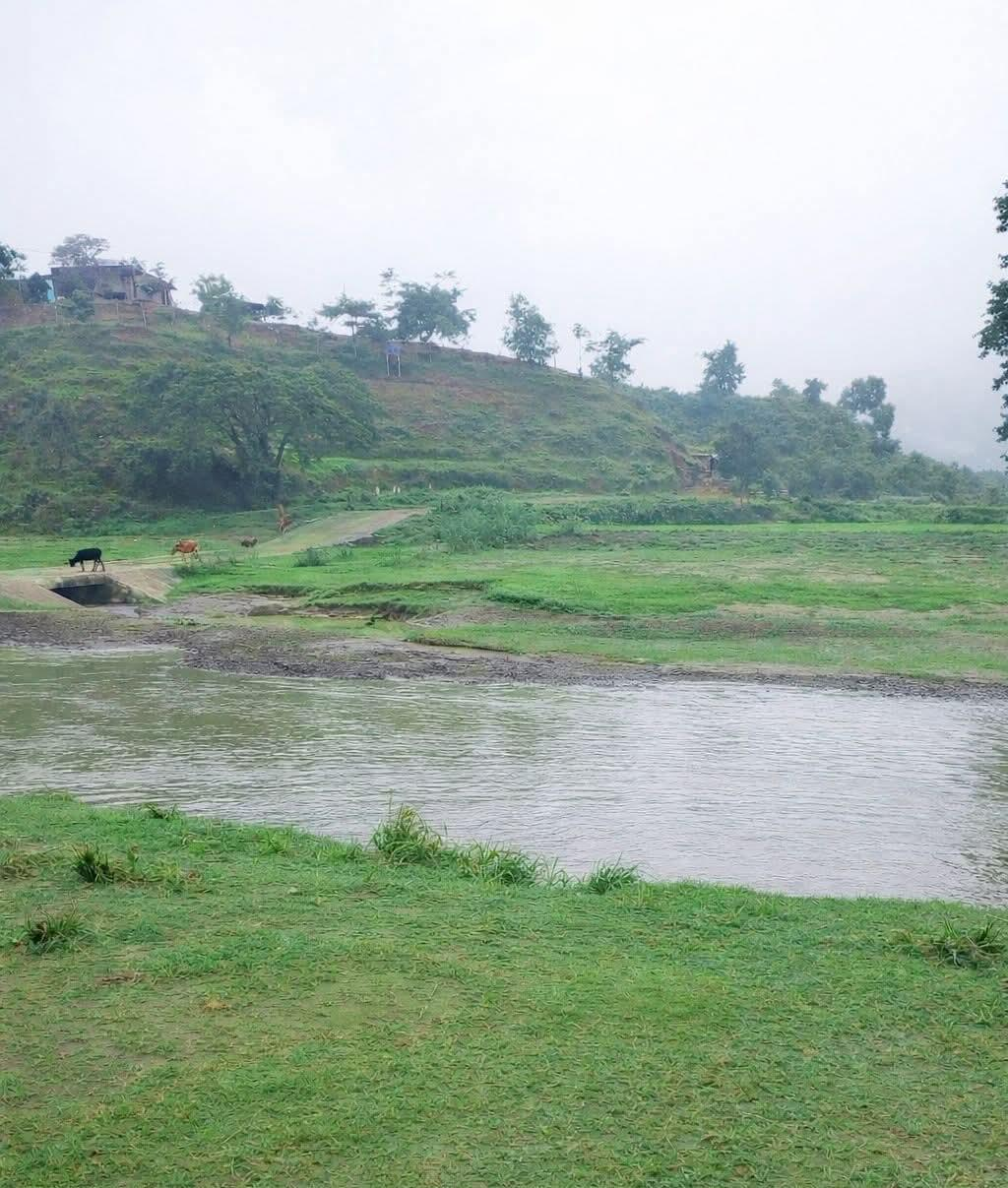 Investigation report image