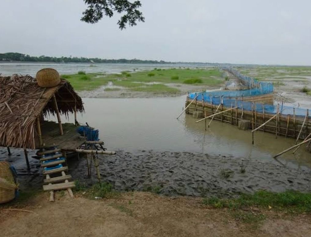 Investigation report image