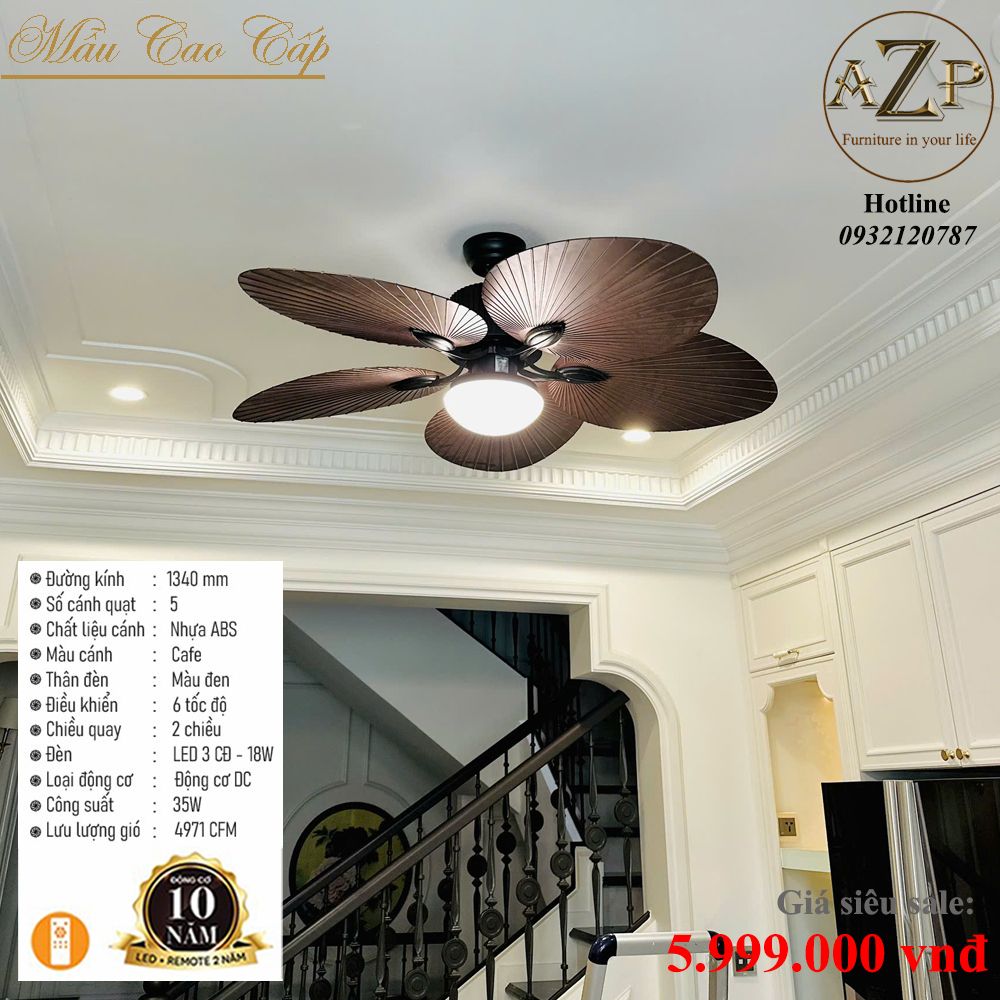 image 782ad9bed5d2