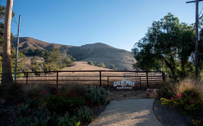 The future location of the Slack and Grand faculty and staff housing community at Cal Poly, San Luis Obispo