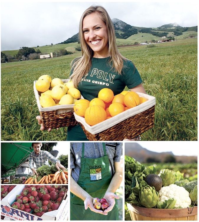 Cal Poly Organic Farm