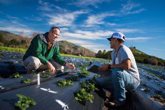 The Strawberry Center is one of more than 300 Cal Poly programs that Cal Poly Partners supports. 
