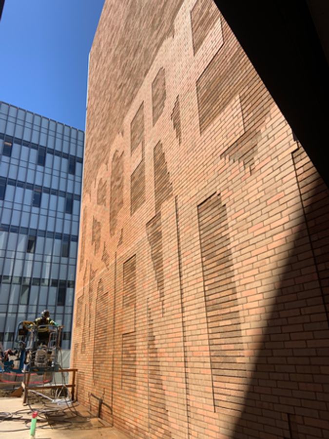 "Learn by Doing" Latin Wall