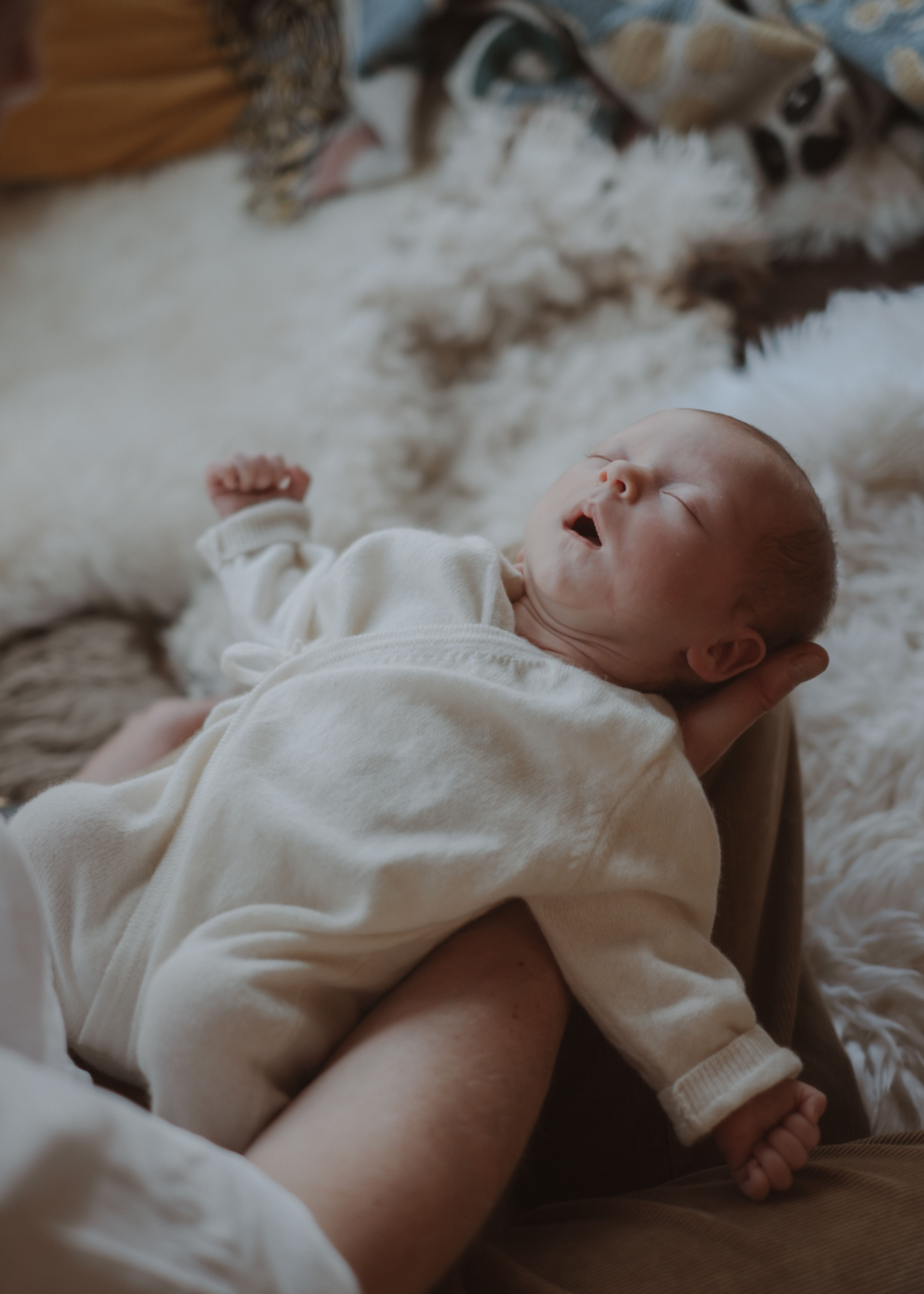 Parent gently holding their newborn baby beside a softly lit window at home