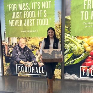 My Placement Year at St. Ewe Free Range Eggs