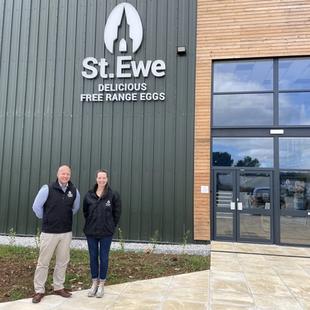 St. Ewe Free Range Eggs: Growth and Innovation in Egg Farming