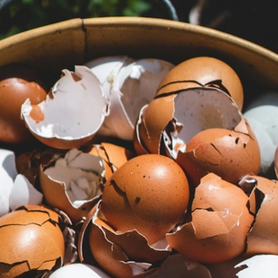 Spring into Summer: Tips for the Garden
