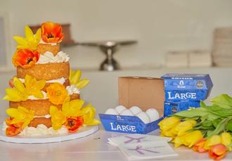 Lily Vanilli's Ultimate Light Fluffy Vanilla Sponge Cake