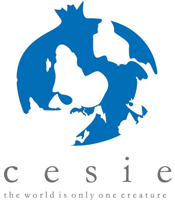 CESIE logo