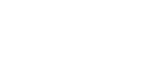AIRONE SERVICE SRL logo