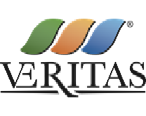 Gruppo Veritas logo