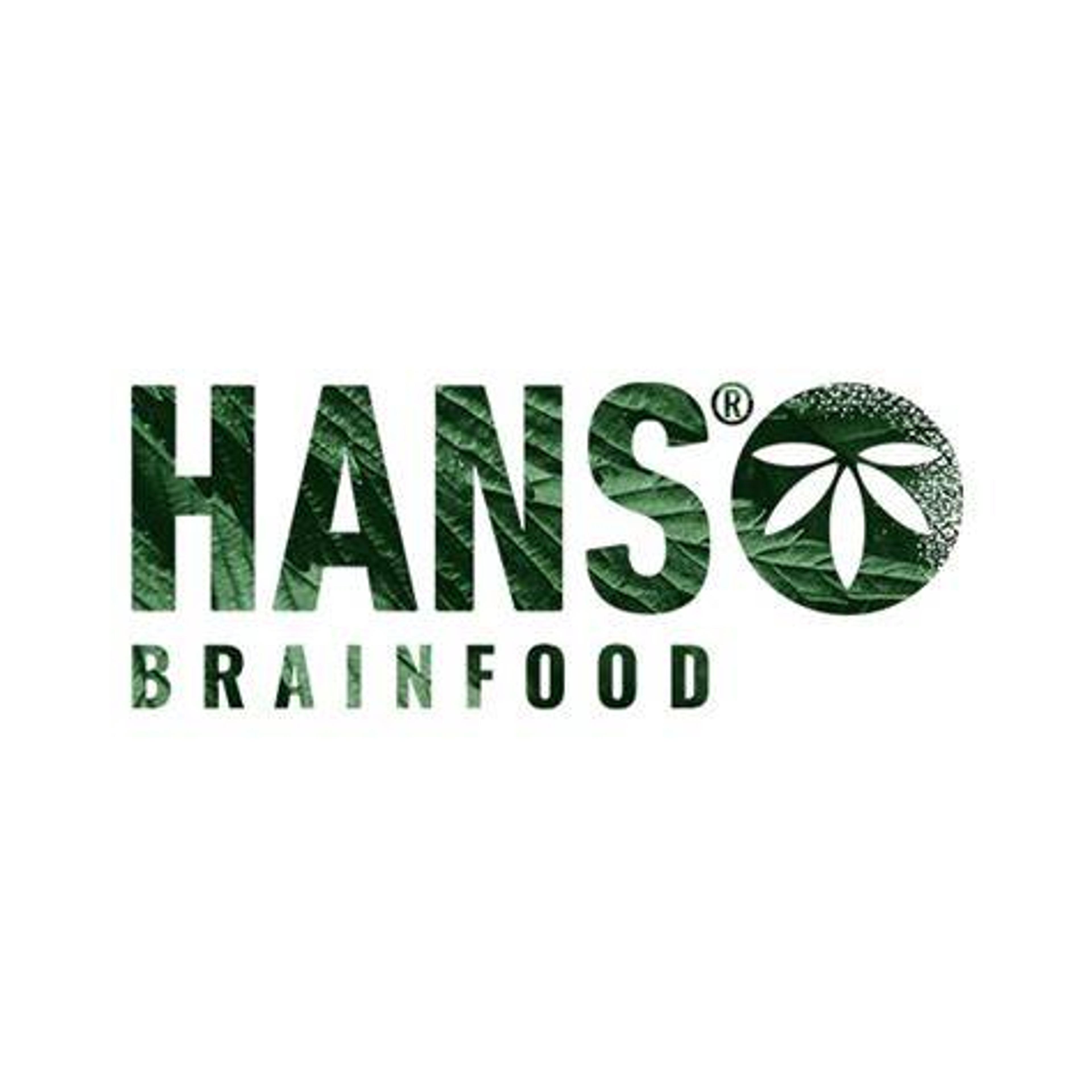 HANS Brainfood logo