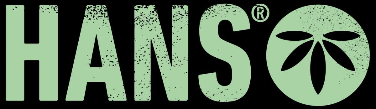 HANS Brainfood logo