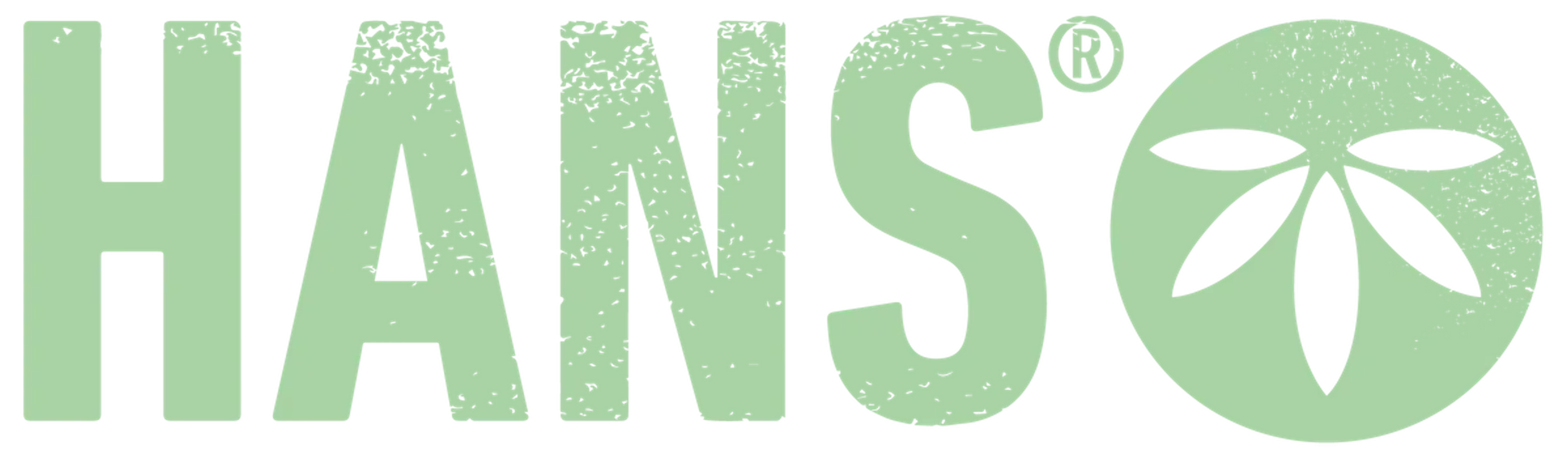 HANS Brainfood logo