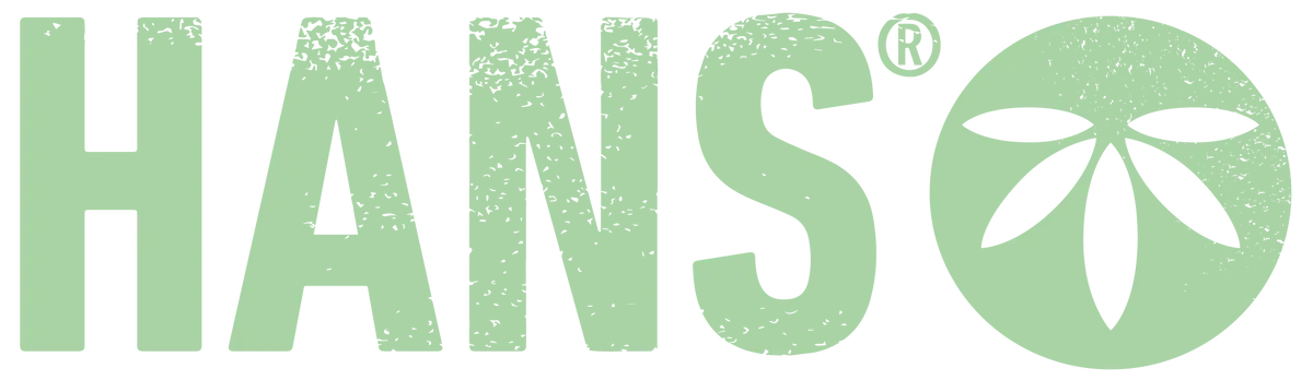 HANS Brainfood logo