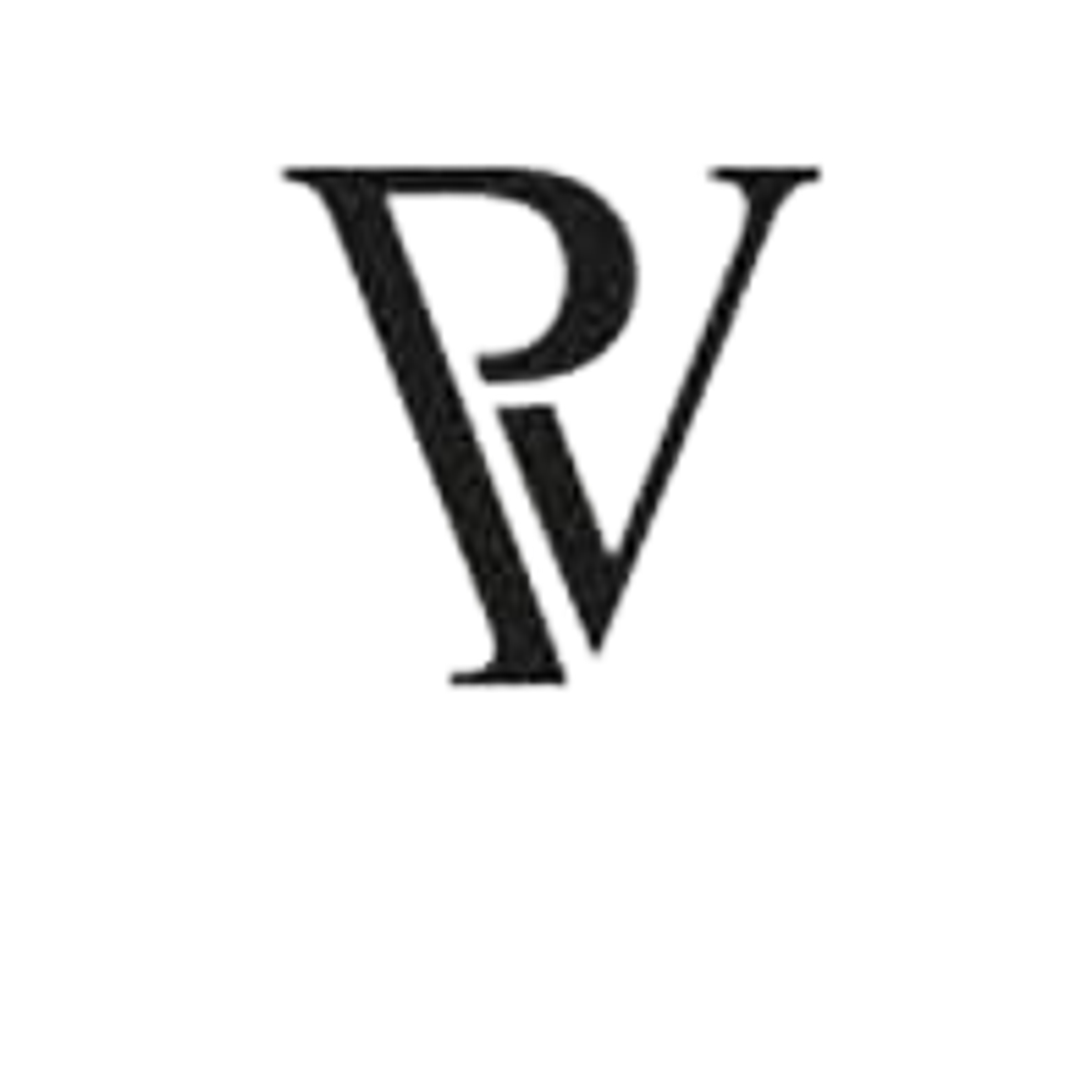 PAUL VALENTINE logo