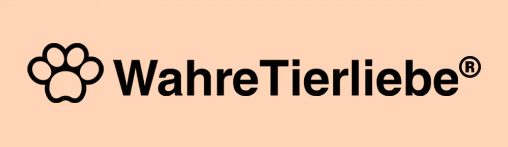 Gründer & Geschäftsführer