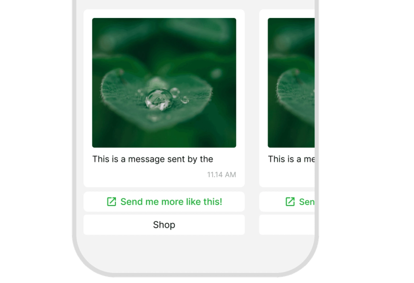 Carousel Messages