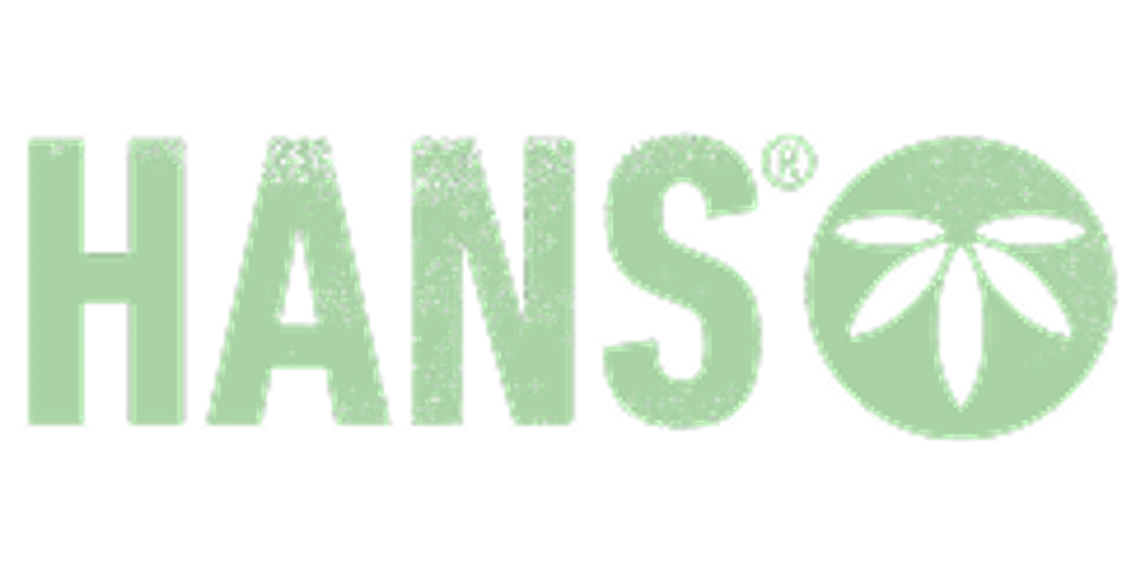 HANS Brainfood logo