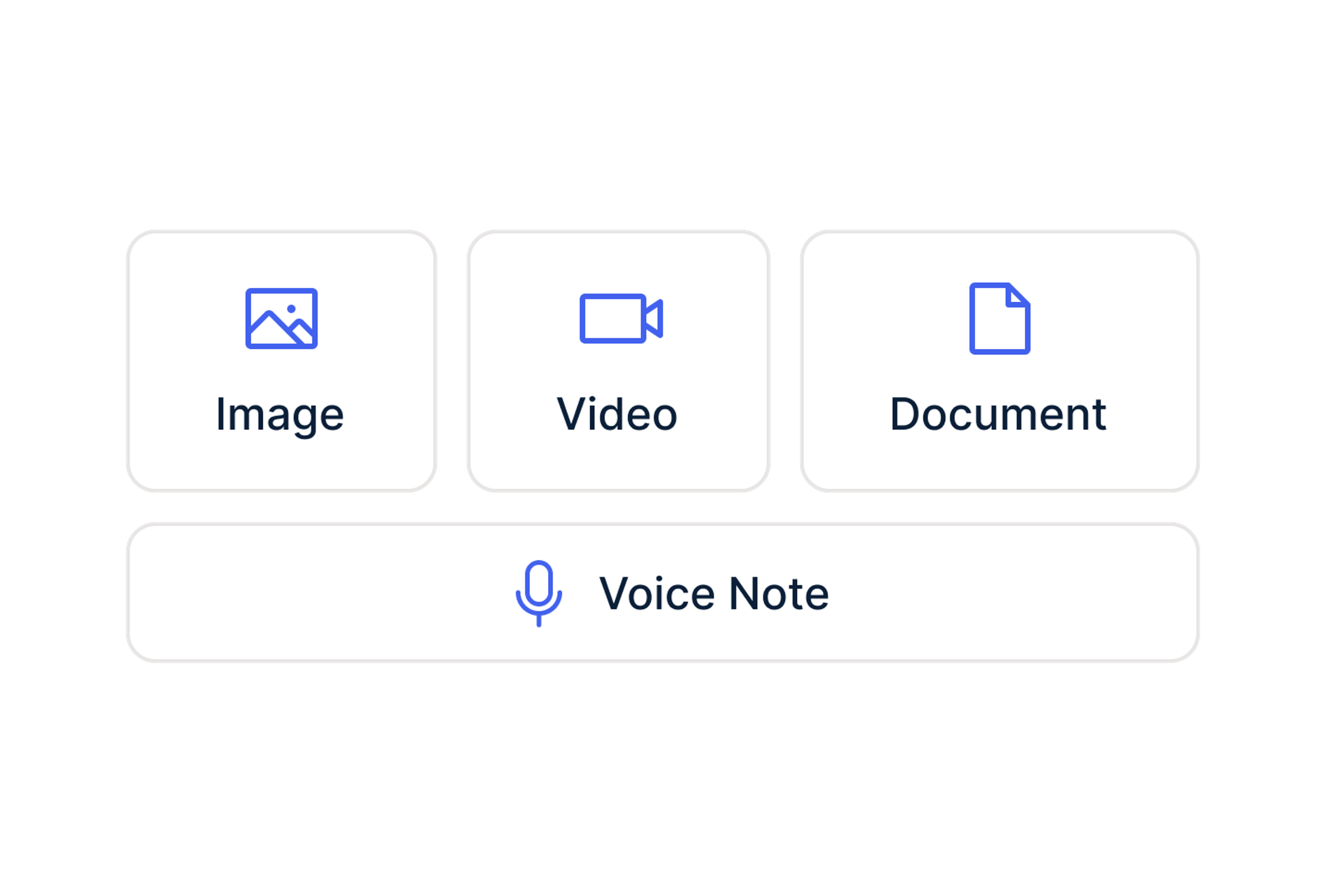 Multimedia