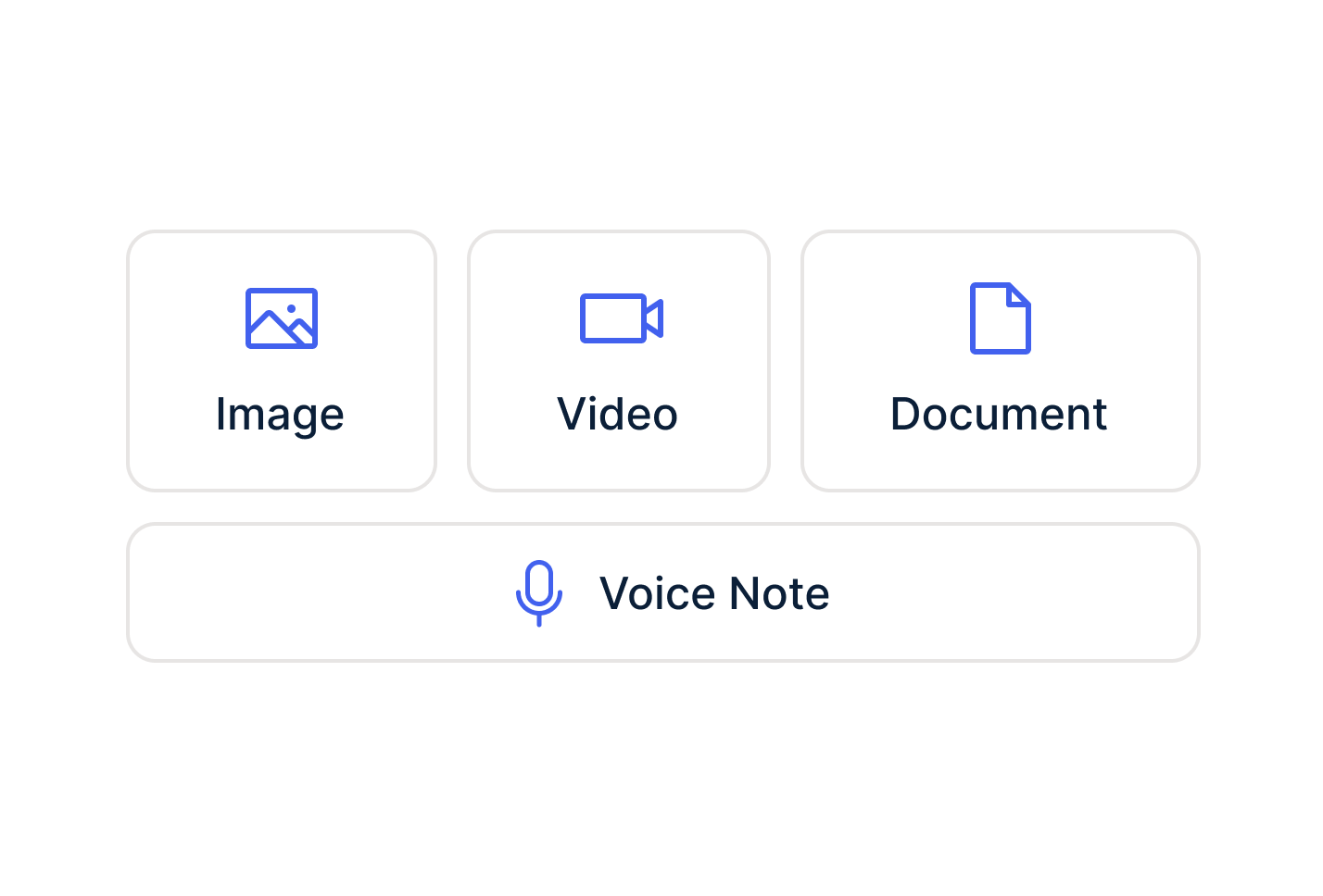 Multimedia